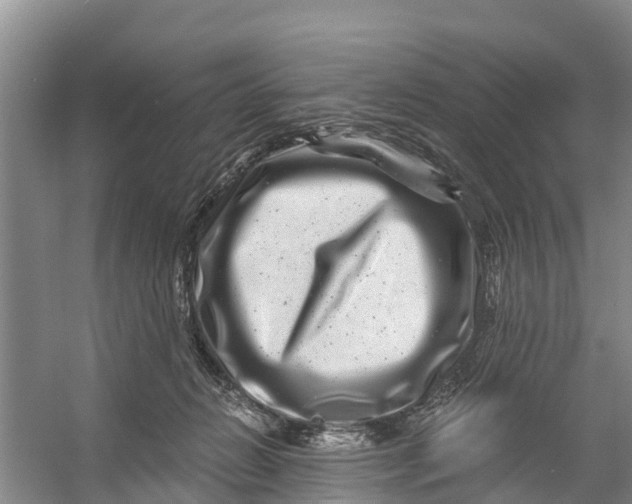 X0000056380270200509161929