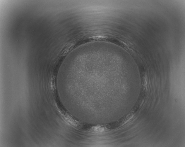 X0000056380272200509161929