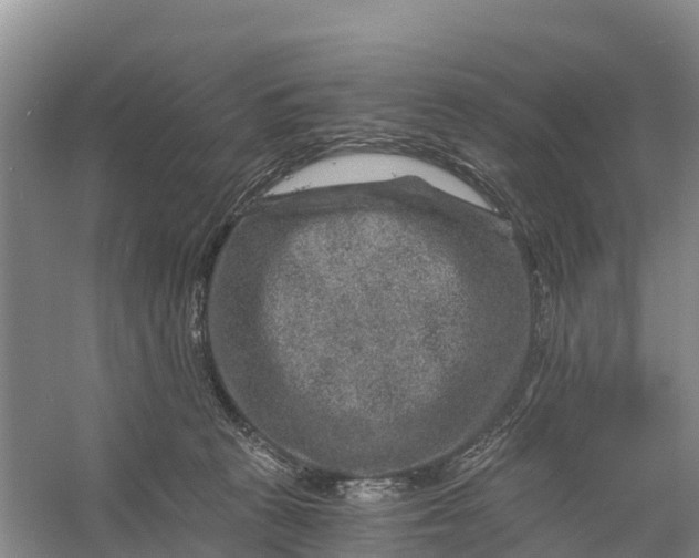 X0000056380273200509161929