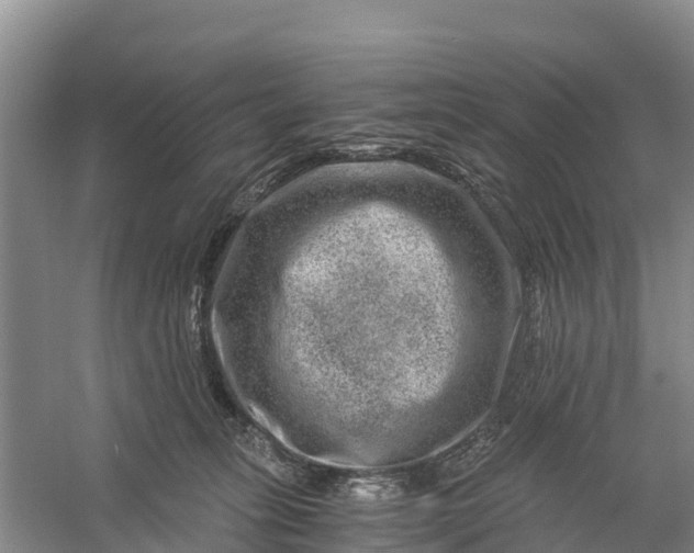 X0000056380275200509161929