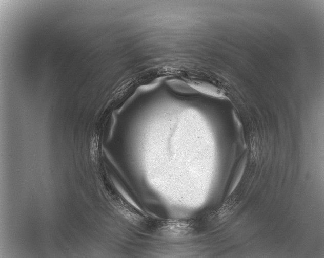 X0000056380278200509161929