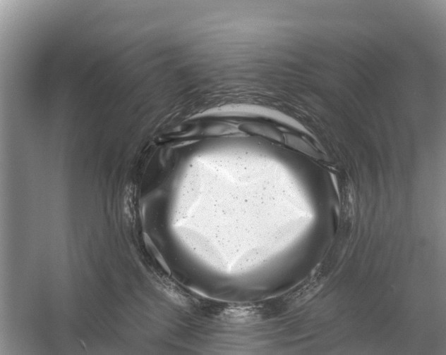 X0000056380280200509161929