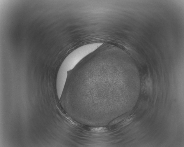 X0000056380281200509161929