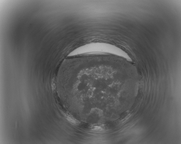 X0000056380285200509161929