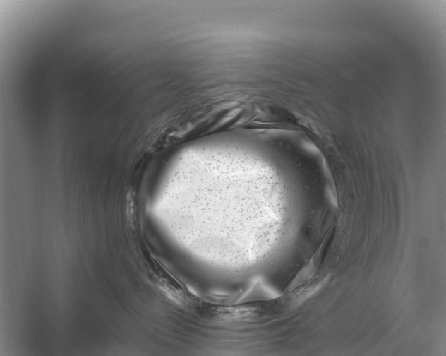 X0000056380288200509161929