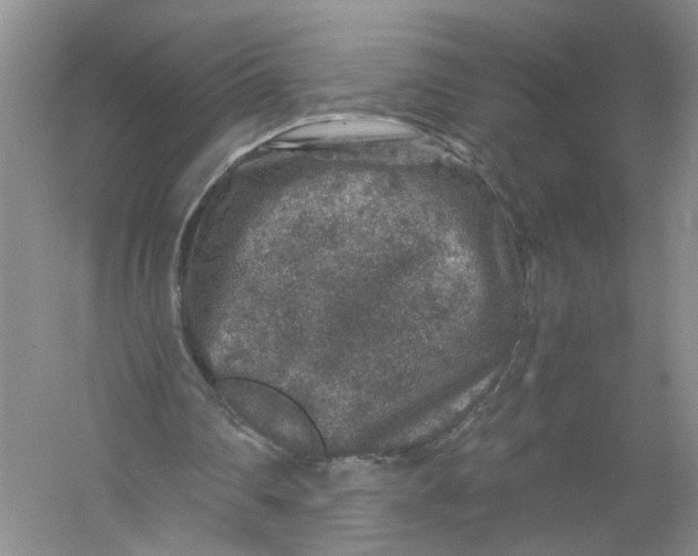 X0000056380290200509161928