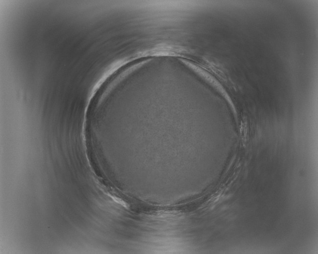 X0000056380292200509161928