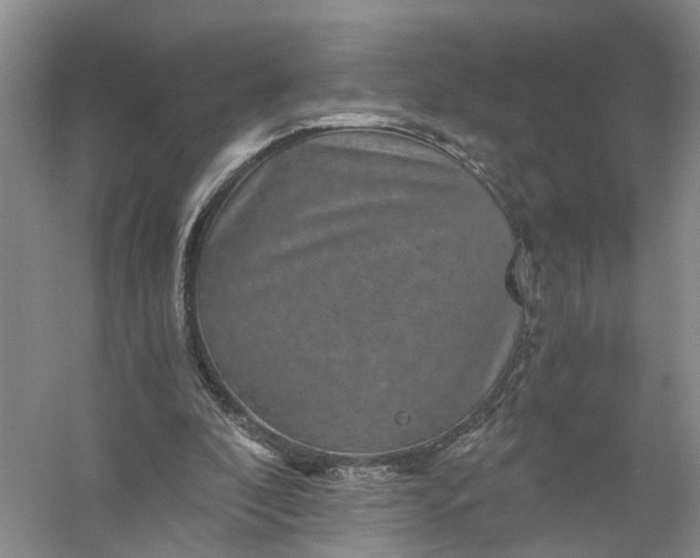 X0000056380296200509161928
