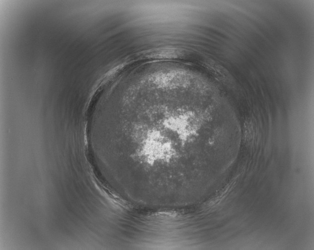 X0000056380302200509161928