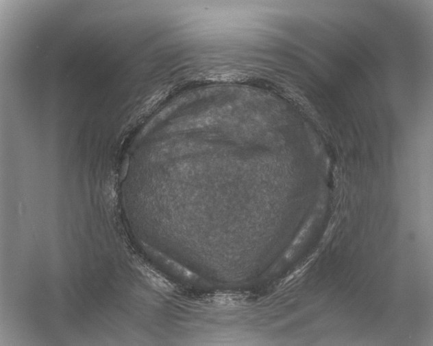X0000056380305200509161928