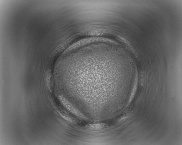X0000056380307200509161928