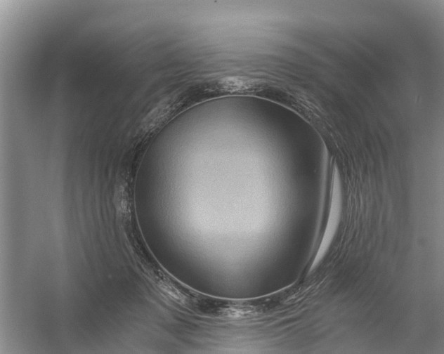 X0000056380317200509161928