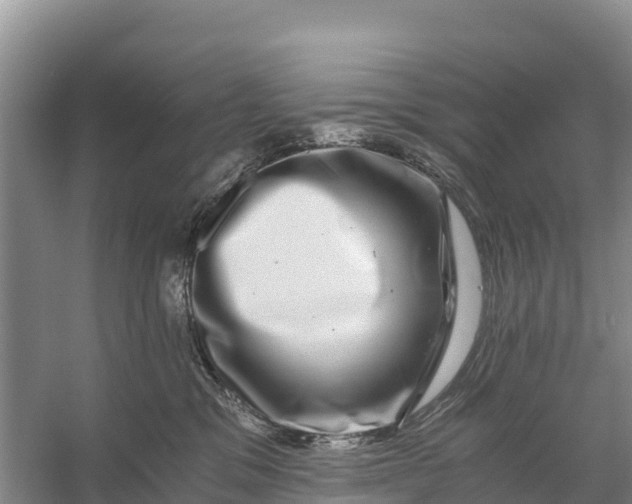 X0000056380329200509161928