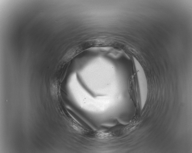 X0000056380333200509161928