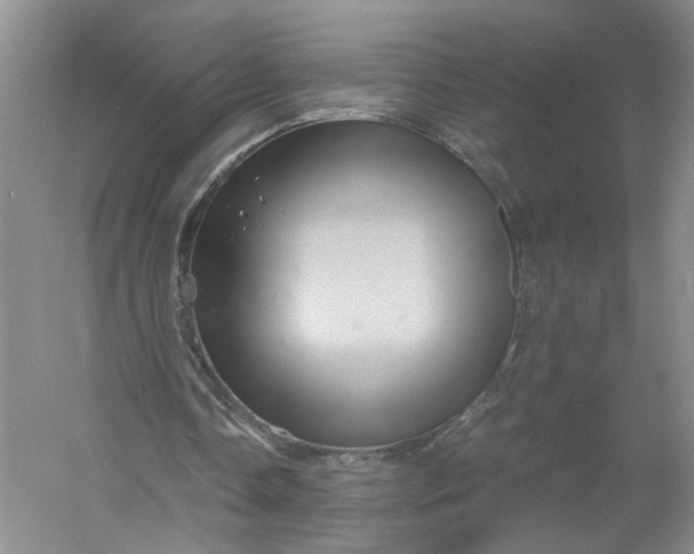 X0000056380338200509161927