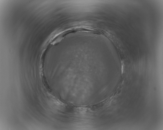 X0000056380339200509161927