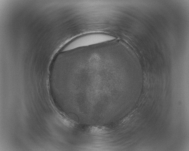 X0000056380346200509161927