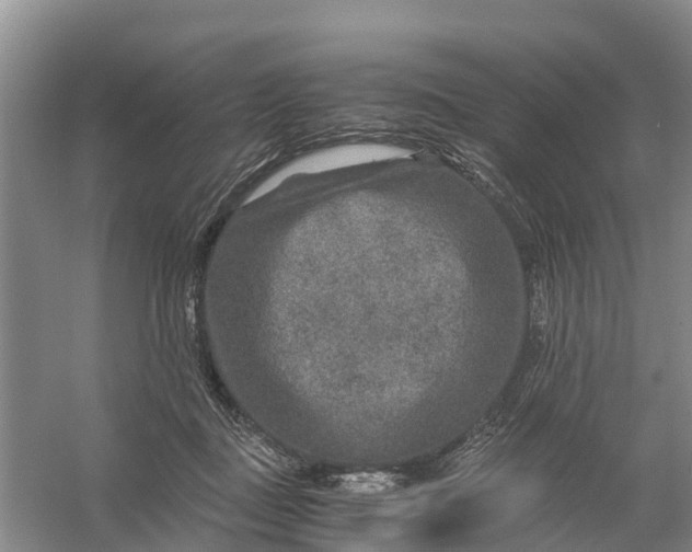 X0000056380363200509161927