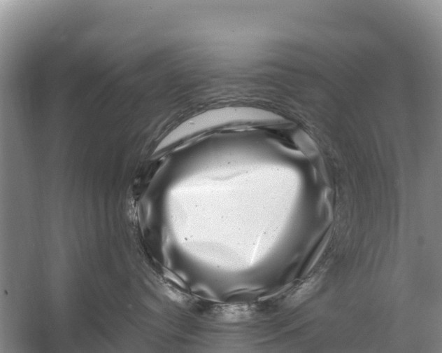 X0000056380384200509161928