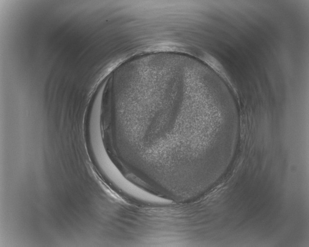 X0000056380389200509161927
