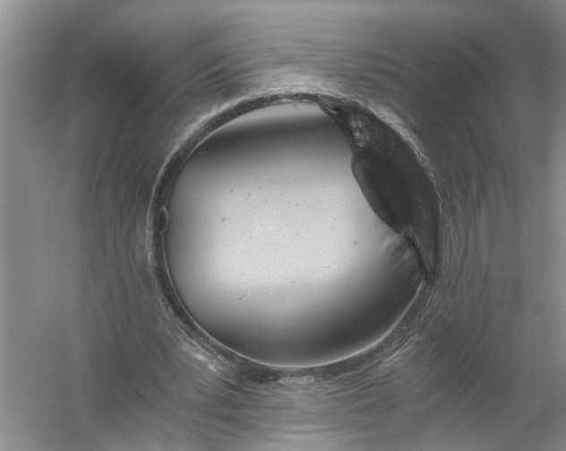 X0000056380391200509161927