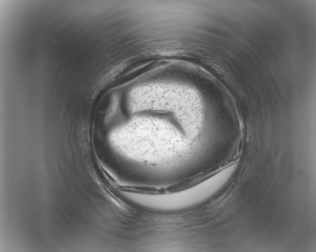 X0000056380397200509161927