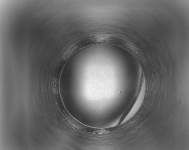 X0000056380421200509161926