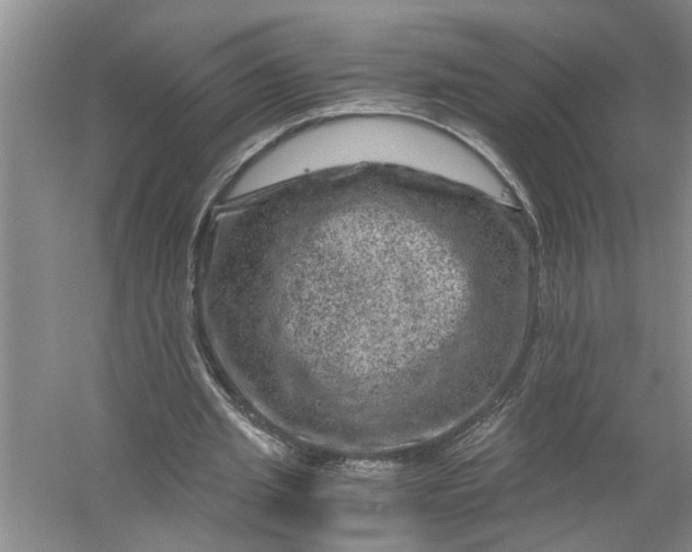 X0000056380437200509161925