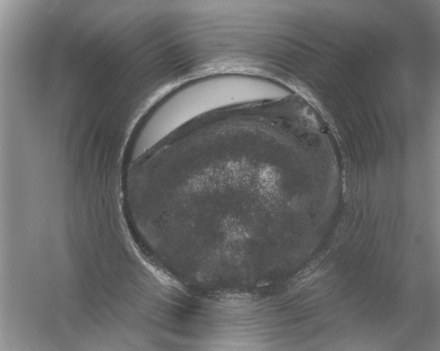 X0000056380438200509161925