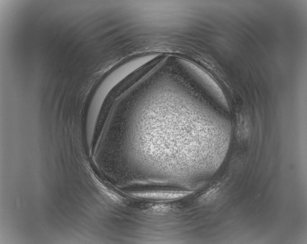 X0000056380441200509161925