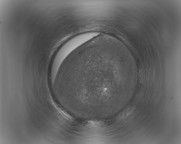 X0000056380442200509161925