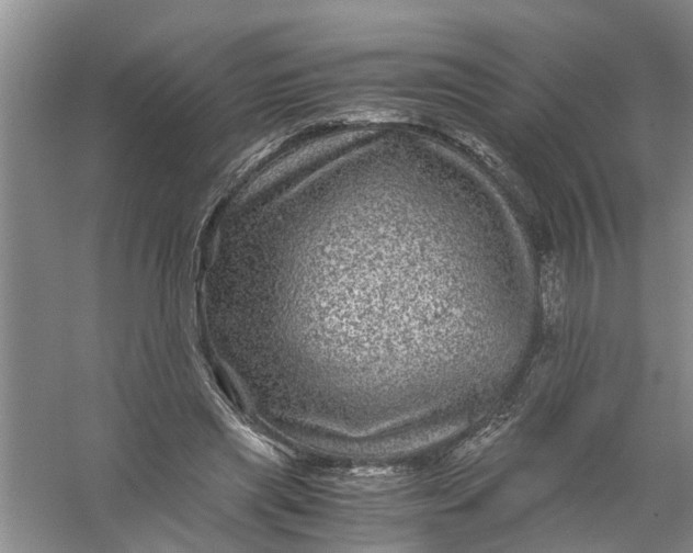 X0000056380445200509161925