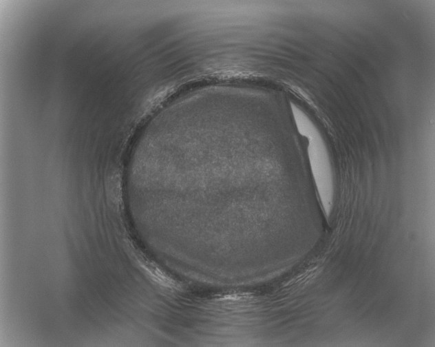X0000056380447200509161925
