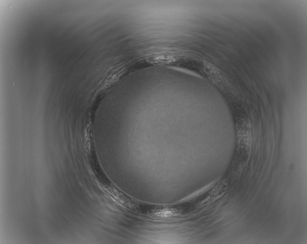X0000056380460200509161926