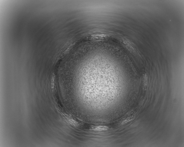 X0000056380463200509161926