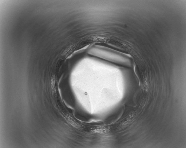X0000056380468200509161926