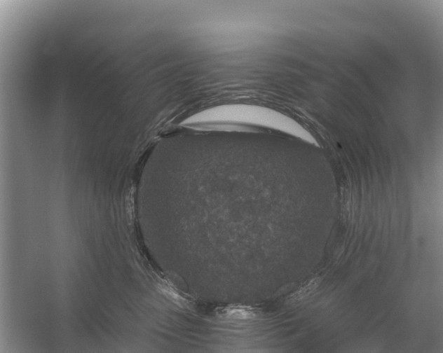 X0000056380475200509161926