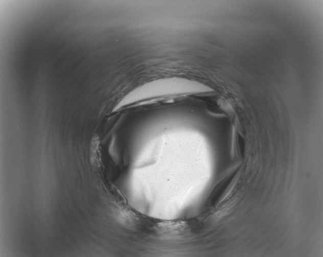 X0000056380480200509161926