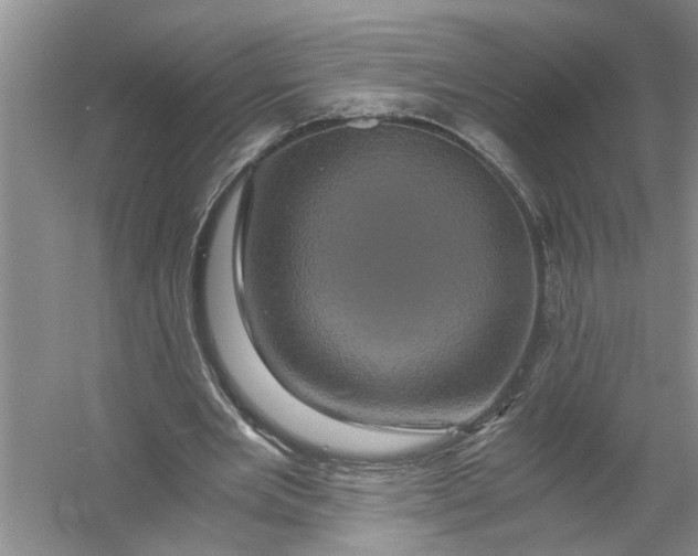 X0000056380485200509161925