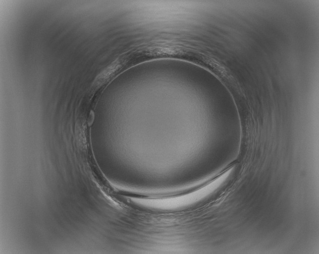 X0000056380489200509161925