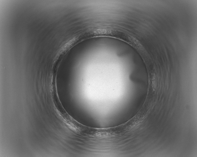 X0000056380490200509161925