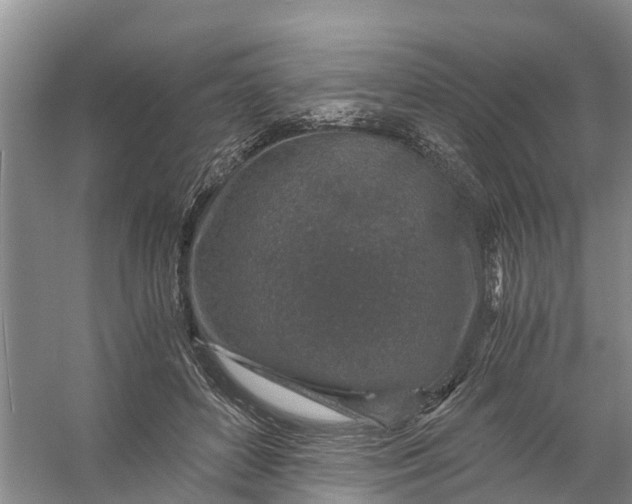 X0000056380504200509161925