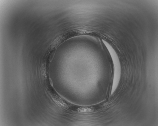 X0000056380512200509161925