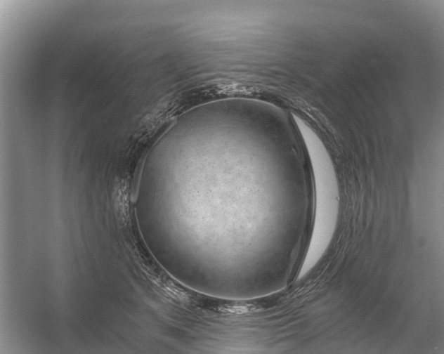 X0000056380513200509161925