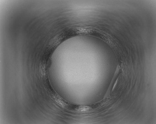 X0000056380514200509161925