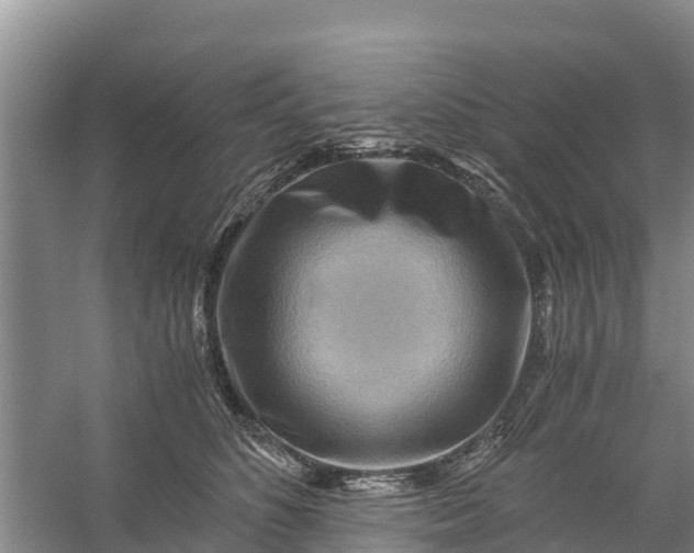 X0000056380516200509161925