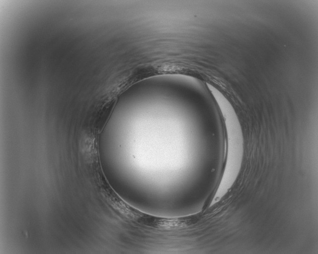 X0000056380521200509161925