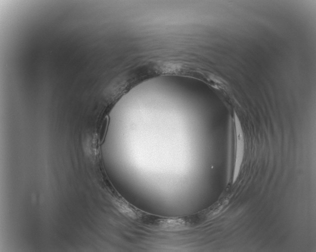 X0000056380525200509161924