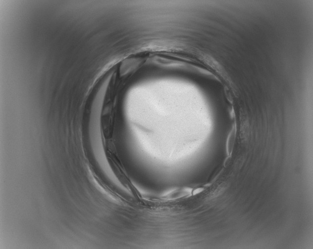 X0000056380530200509161924