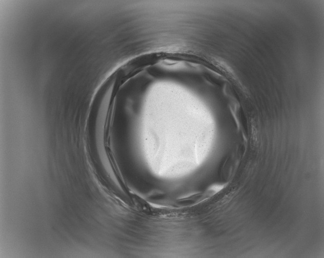 X0000056380532200509161924